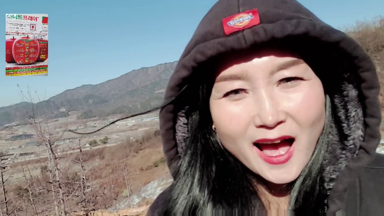 풍기홍삼사과농장 뷰