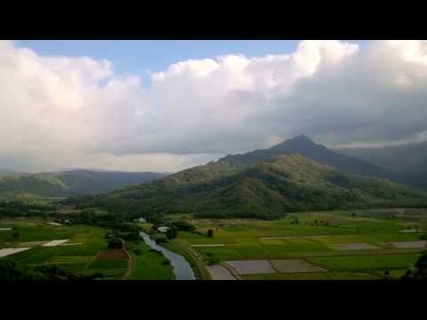 Greener on the Other Side - CO2: Pollutant, or Plant Food?