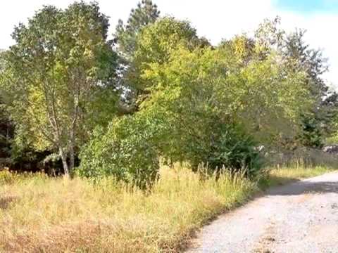 2526 Rocky Rd, Rustburg, VA home video tour