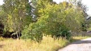 2526 Rocky Rd video tour