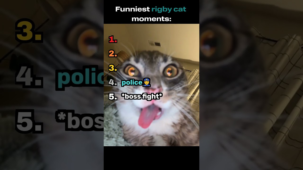 silliest rigby moments :p #cat