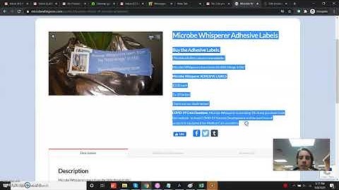 How to edit the Short Description on WooCommerce products