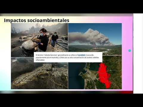 Tierras raras en Penco: extractivismo, territorio y justicia socioambiental en la transición digital