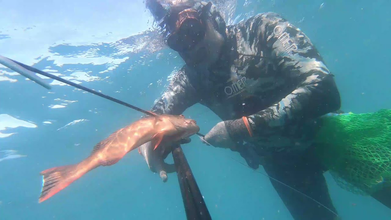 Queensland Bowen Spearfishing May 2021 YouTube