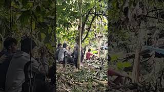 Mabuk Janda . Randanan Sarambu Chanel 77