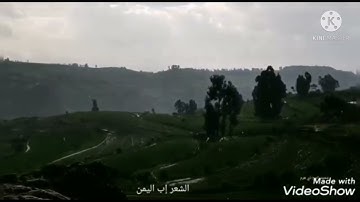 الشيخ راتب الخليدي اجمل تلاوه