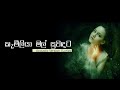 Kamliya Mal Suwadata | කැමීලියා මල් සුවඳට  | Lyrics |  Covered by Dhanith Sri | Acoustic Music