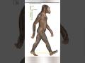 The Fossil That Changed Everything: Lucy's Story