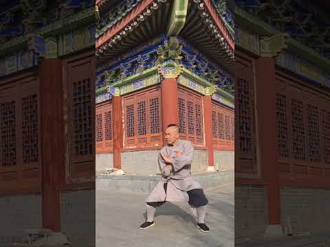 Practicing kung fu 🙏#shaolinkungfu #shaolin #kungfu #shaolinwarriors #martialartstraining
