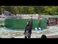 新屋島水族館　イルカショー　ドルフィンジャー の動画、YouTube動画。