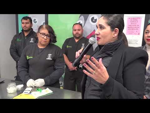 Gobierno de Zapopan presenta el programa para evitar el abandono animal