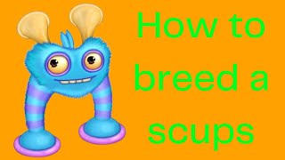 How To Breed a Scups MSM