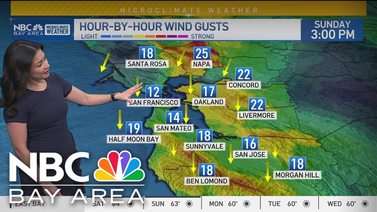 Bay Area forecast: Dry and windy - YouTube