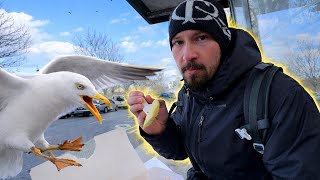 Final de semana em Dublin na Irlanda | Vida de intercambista 