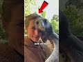Animal Encounters Nobody Expected