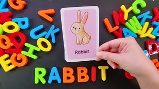 4:Colorful Alphabet Adventures:Spell & Explore Animals with Adorable Flash Cards!#learning #spelling