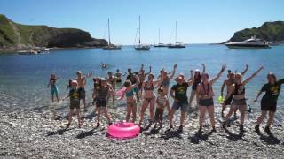 Can't Stop The Scouting!