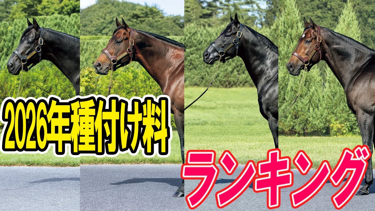 高過ぎる【超高額】2026年社台スタリオンの種付け料ランキング
