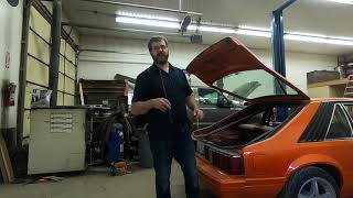 Hatch Gas Strut Replacement Fox Body Mustang