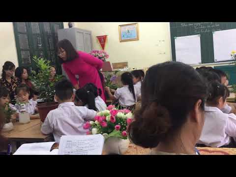 Video Chuyên đề TNXH lớp 1- Bài Các bộ phận của cây ( tiết 1) - YouTube
