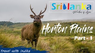 මධ්‍යම කදුකරයේ ලෝක උරුම අභය භූමිය | Horton Plains Srilanka | Vlog 39 ( Part 1)