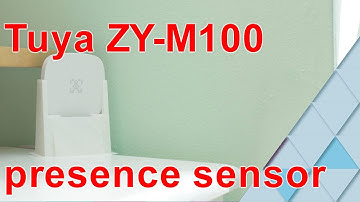 Tuya ZY-M100 presence sensor with Home Assistant (zigbee version)