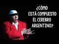 El Cerebro Argentino (Pingo Argentino)