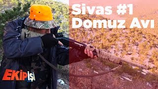 Sivas Domuz Avı 1 ( Büyük Sürünün Peşinde ) Ekip İşi 2.Bölüm Yaban Tv Wild Boar Hunting