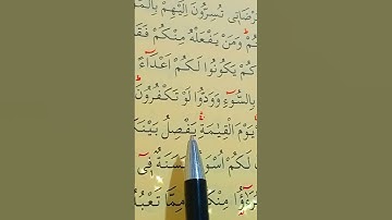 سورة الممتحنة الأية 3 القارئ سعد الغامدي