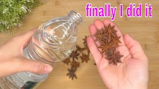 If you put Star Anise in White Vinegar!  you will NOT want to use another recipe