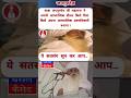 baba Jaigurudev Ji Maharaj baba Umakant Ji Maharaj jaigurudev satsang #jaigurudev