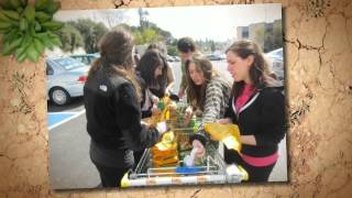 Destination Israel: Alternative Spring Break 2012