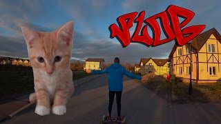 VLOG ✦ ПОКУПКА КОТА!!! VLOG ✦ ПОКУПКА КОТА!!!