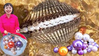 [English sub] Xiao Zhang rushed to the sea. A row of pearls in a blood clam caught fish like a pyth