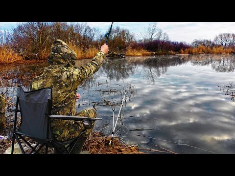 ЛОВЛЯ КАРАСЯ ВЕСНОЙ