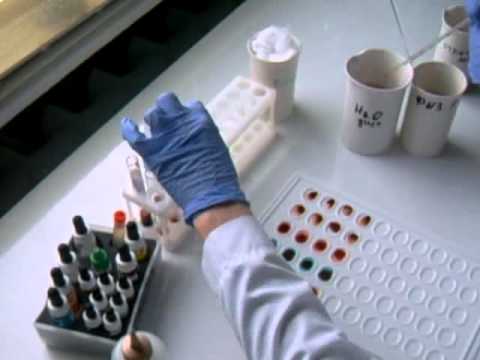 определение групп крови перекрёстным методом и резус-фактора - YouTube