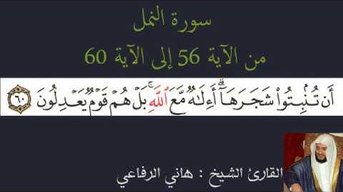 سورة النمل | هاني الرفاعي | من أجمل القراءات.