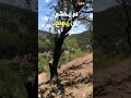 ثمن العاطفة
