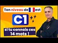 Si tu connais ces mots franais ton niveau est c1 