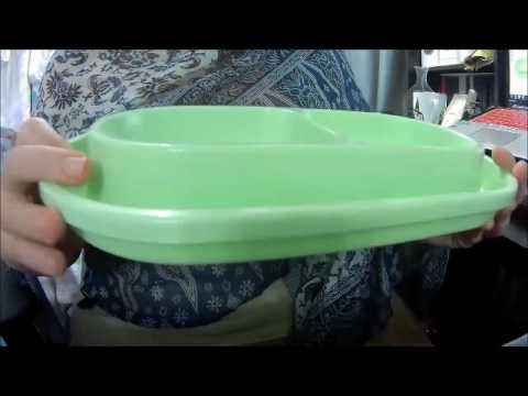 review-of-anti-ant-pet-bowl-by-with-you6688