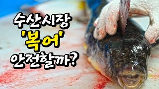 Do all fish market merchants have a license to prepare pufferfish? Recommended puffer fish sashimi