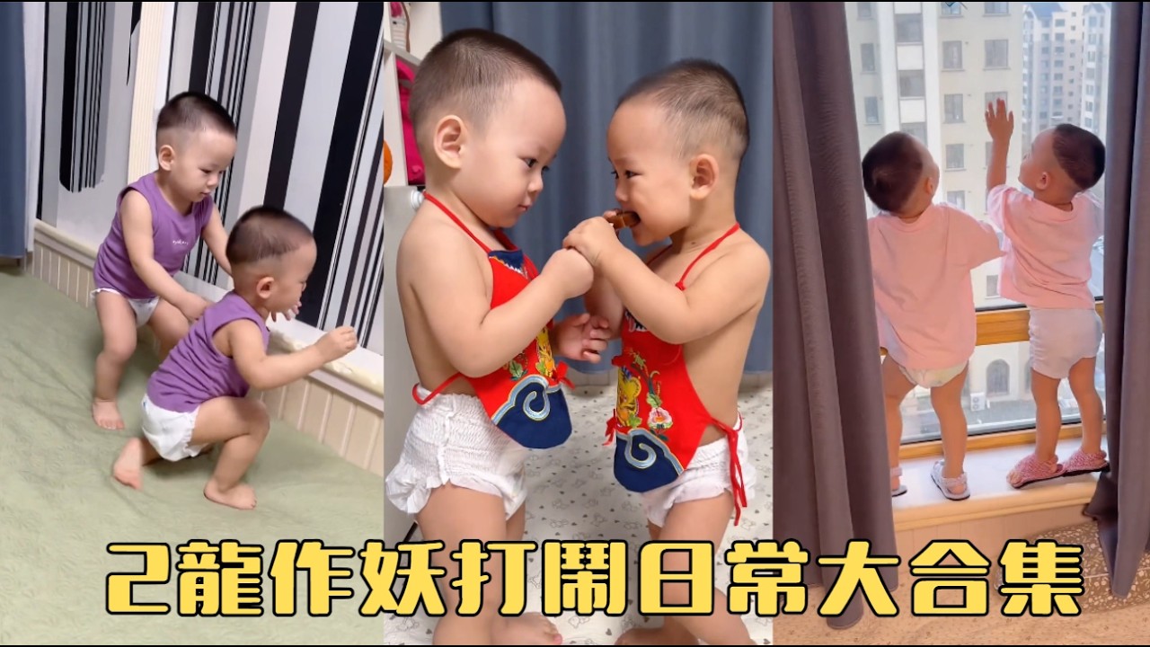 2龍作妖打鬧日常大合集#兩個小龍子 #雙胎寶寶的日常