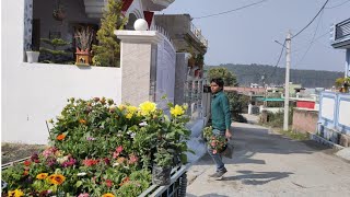 पहली बार खरीदे घर के बाहर से पौधे | Nature lover vinno | Gardening Vlog