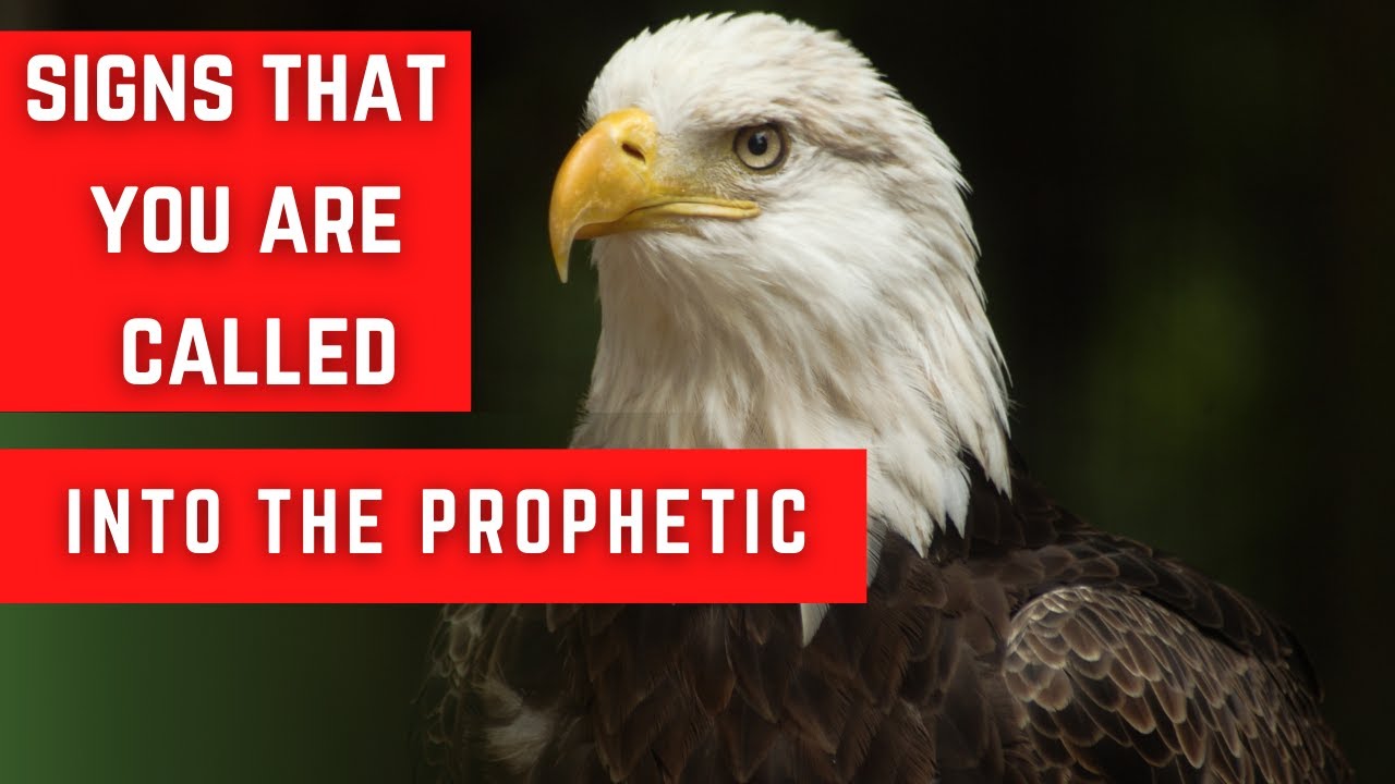 Signs That You Are Called Into the Prophetic | Apostle Bongani Blacksmith