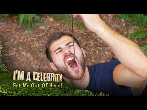 Owen has a feast in the bushtucker bonanza! | i'm a celebrity... Get me out of here!