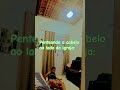É UMA AGUIA? É UM AVIÃO? NÃO, É MEU PENTE!😫