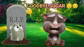 My Talking Tom 2 Goodbye Sugar Rip
