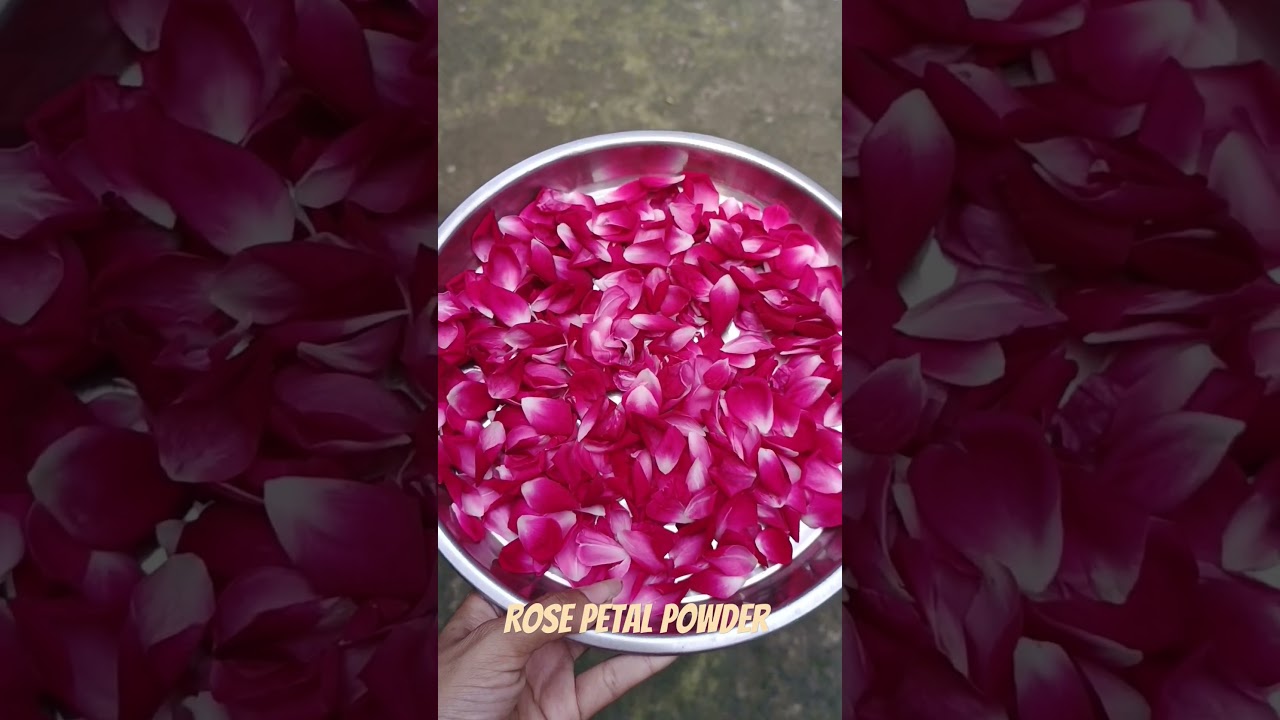 How to dry rose petals? 