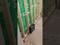 foam insulation then frame basement