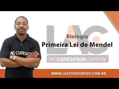 Curso Magistério -